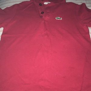 Toddler Boy Lacoste Shirt Size 6